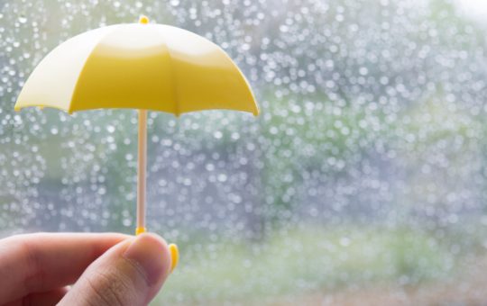 雨のレースに起きるドラマ